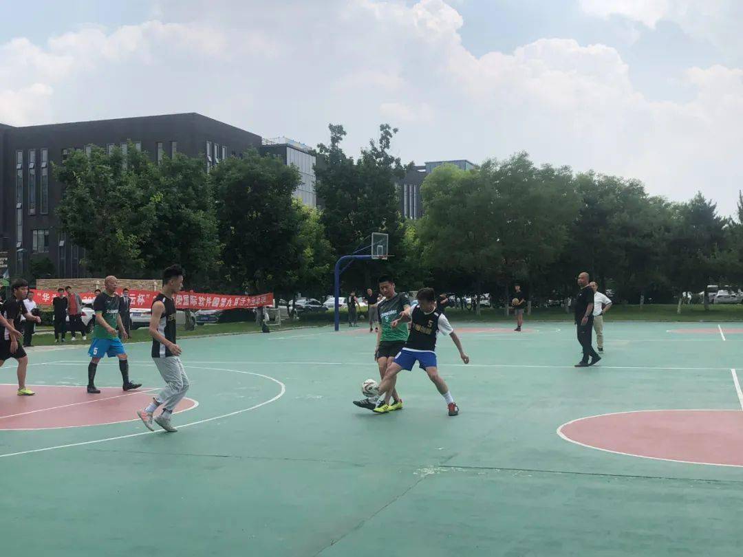 揭秘六开彩，数字背后的奥秘与理性看待六开彩开奖结果2023香港今天开马