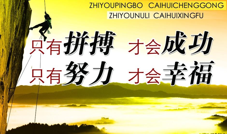 500足球 第414页