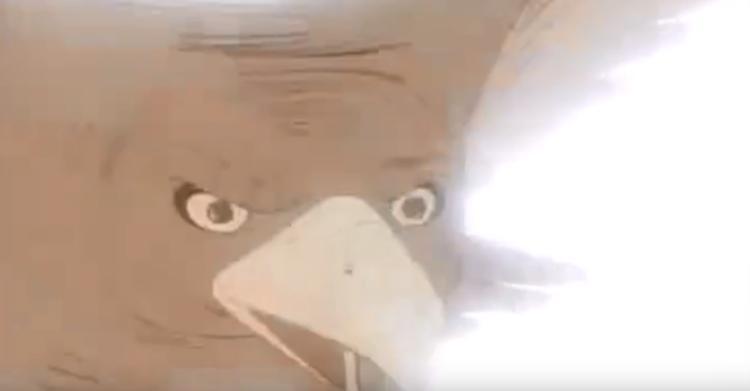 免费观看大空翼足球小将中文版，重温经典，燃爆足球激情