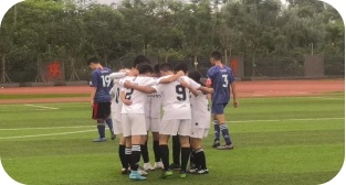 今日国际足球赛事直播，激情与梦想的碰撞