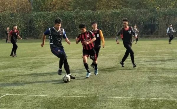 今日足球赛事直播，在线观看的无限魅力与激情