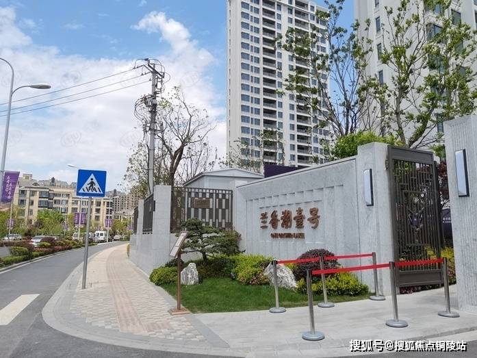 实时洞察，上海黄金交易所官网的黄金投资新视角