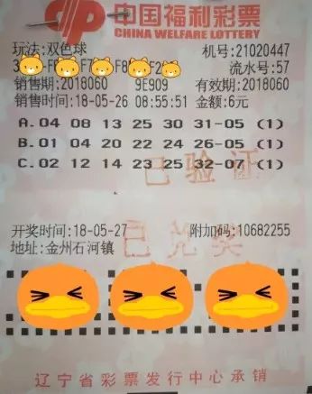 幸运之钥，大乐透生肖选号的奥秘