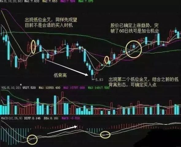 赢家预测，揭秘三点买入指标的制胜秘诀