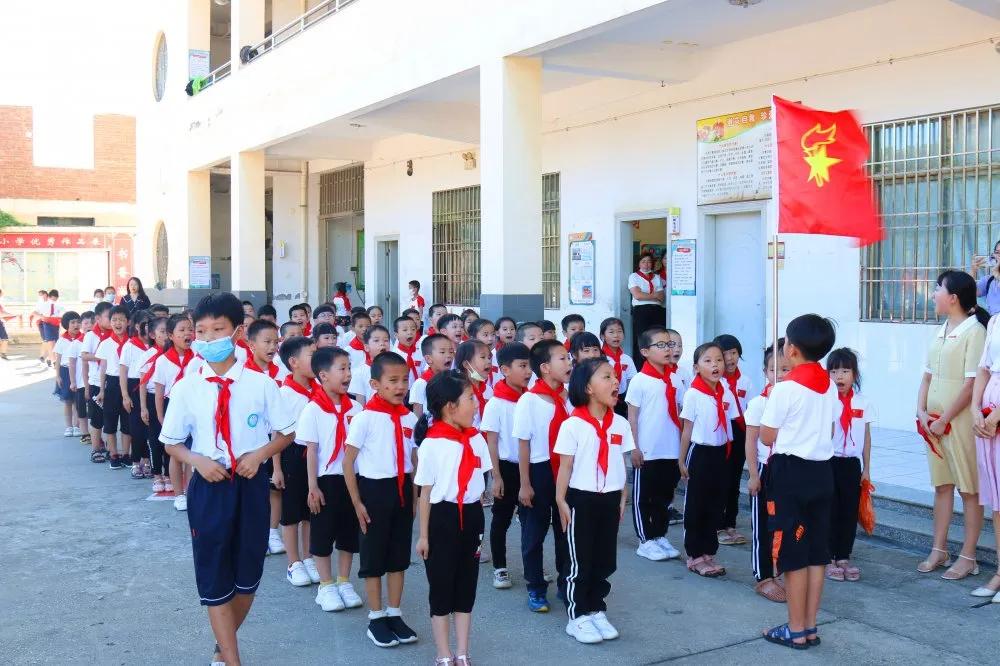 2020年53期双色球开奖结果揭晓，梦想与幸运的碰撞
