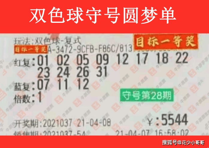 双色选号机选号，科学、随机与幸运的完美结合