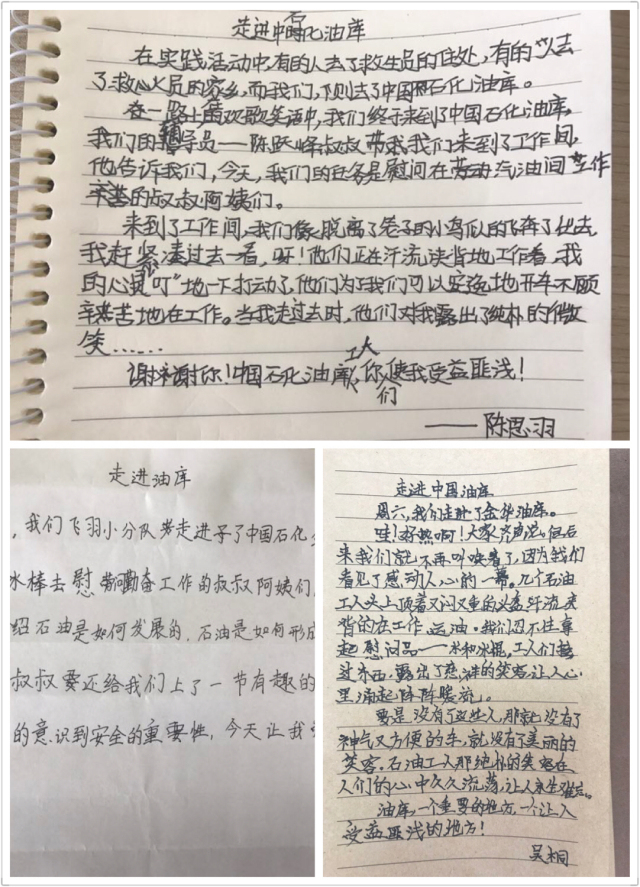 探秘三字诀与太湖字谜的奇妙世界