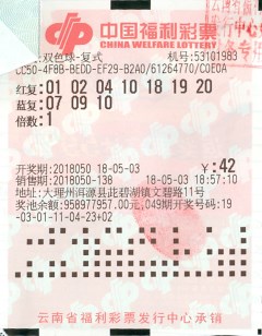 管家婆精准预测，一肖独步，码中特选