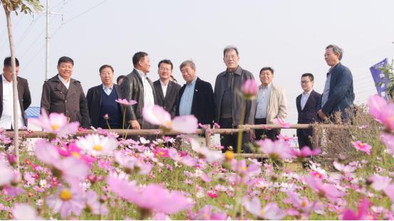 官网下载
