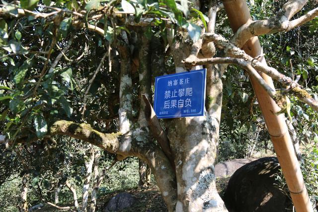 足球竞彩 第291页