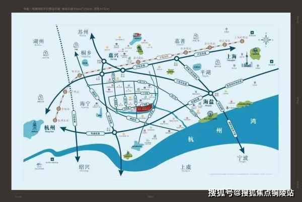 农药行情新动向，中国农药网深度解析