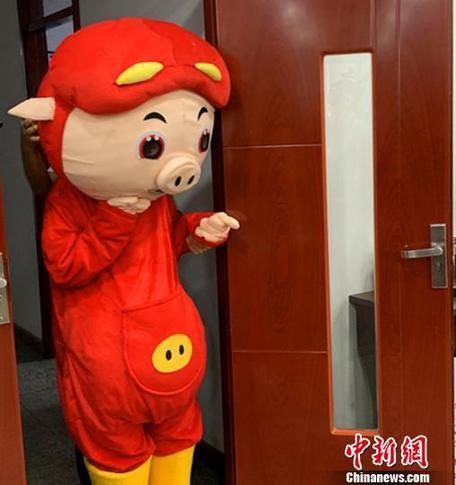 双色球历史对比，彩吧的数字变迁与趋势分析