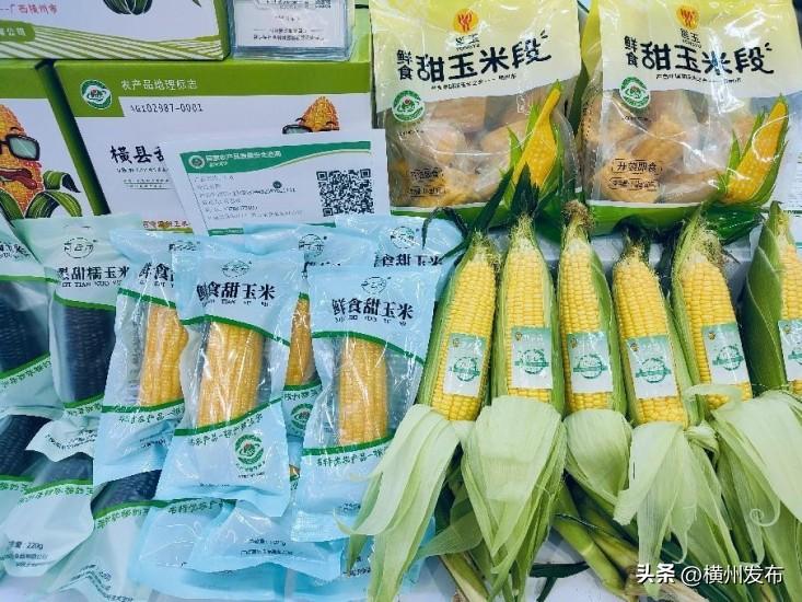 2024年新疆农业大学录取分数线，趋势、预测与备考指南