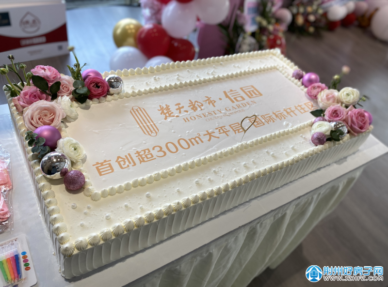 探索本港台开奖现场直播的奥秘，揭秘与记录本港台开奖现场直播开奖记录今天