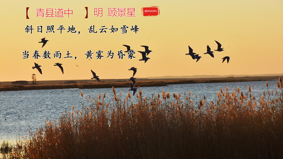 487铁算盘，一句解特，智慧传承铁算算盘4887开奖!