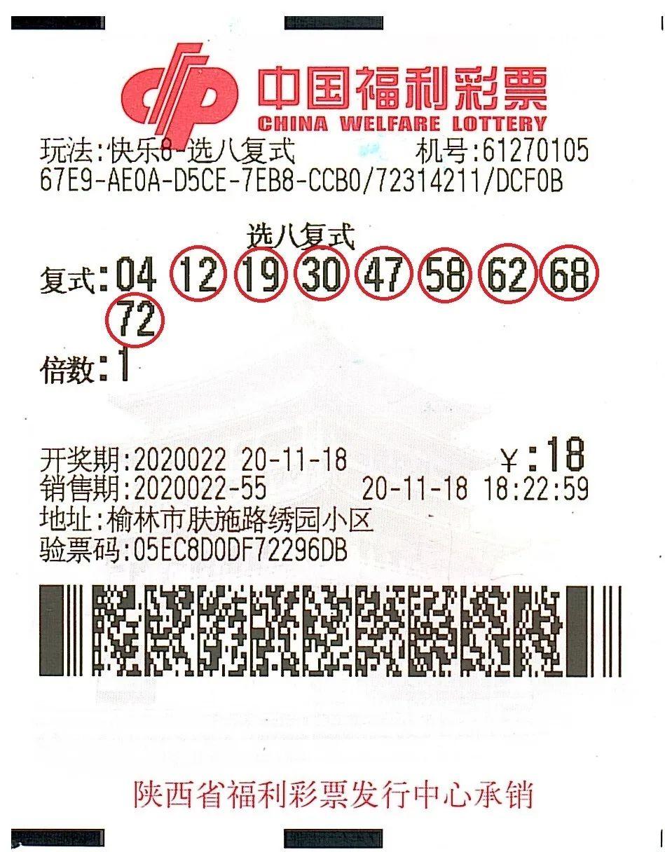 澳门王中王的秘密,揭秘精准资料大全的免费公开之旅澳门王中王精准资料大全免费公开软件下载