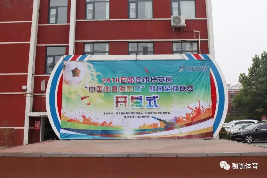 湖南彩票动物总动员，公益与乐趣的完美融合