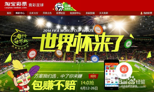 2010世界杯彩票，梦想与现实的交织