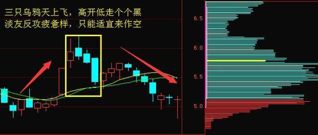 大星彩票综合走势，收藏热潮背后的理性分析与策略