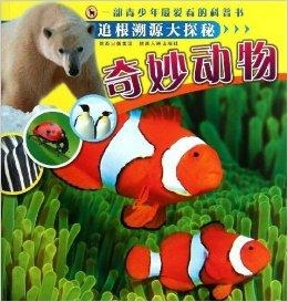 探秘字谜大全，揭晓隐藏的动物谜底