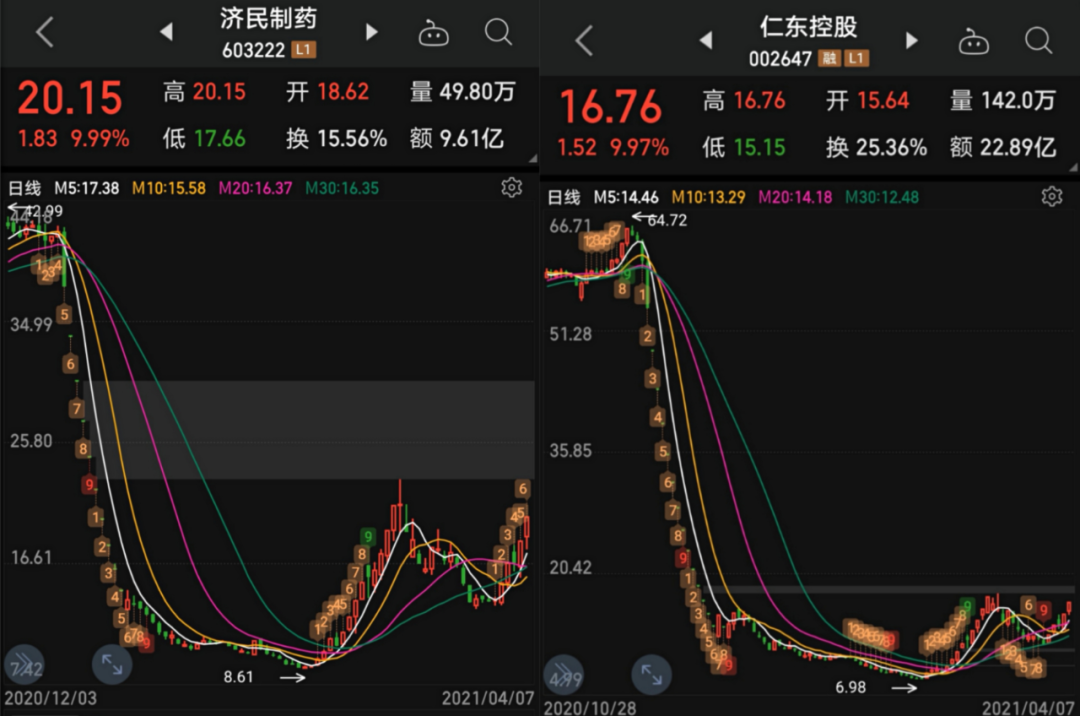 澳门四肖八码精选期，揭秘精准预测的背后澳门四肖八码精选期期准亮点