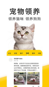 探索狗扑论坛，宠物爱好者们的温馨交流空间狗扑网官方