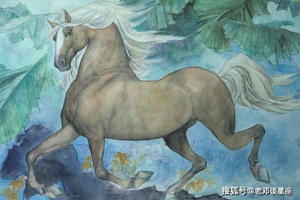 探索2025年奥马免费资料生肖卡的奥秘澳马报资料
