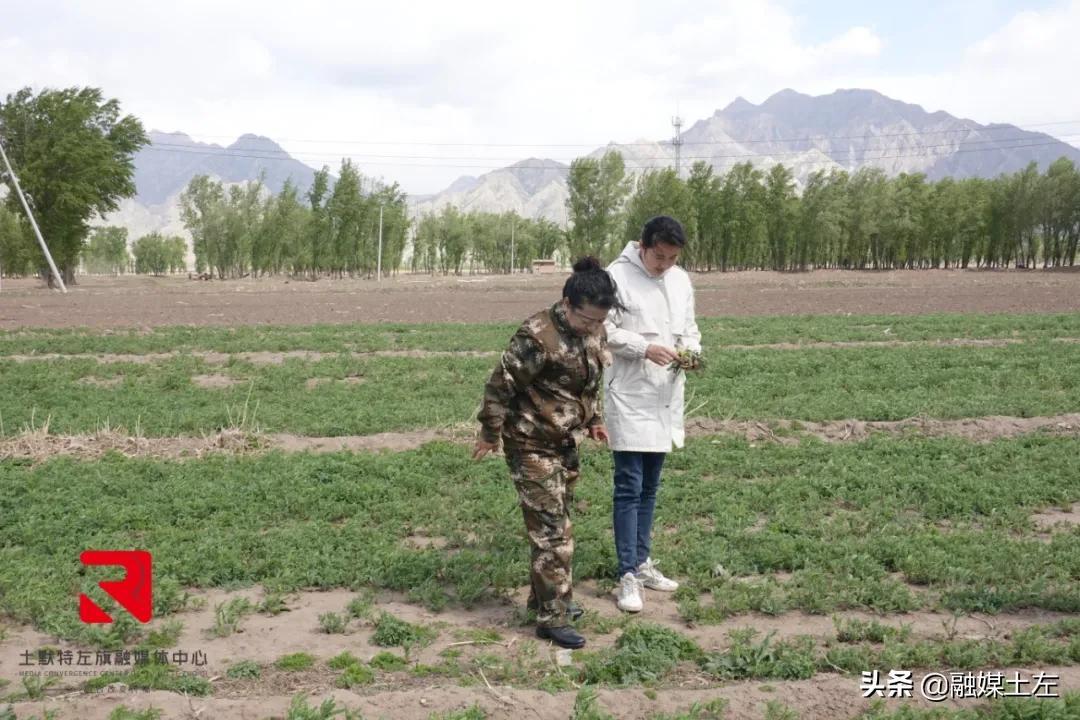 管家婆一码与水果的奇妙结合，解锁生活小窍门