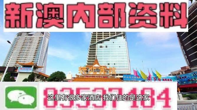 免费共享，新澳精准资料630期全面解析与价值展望澳门新彩