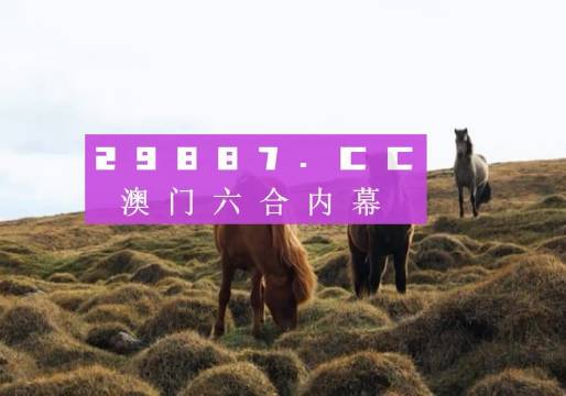 2048年澳门天天开好彩大全，理性看待彩票与娱乐的平衡2025澳门天天开好彩大全开奖结果是什么
