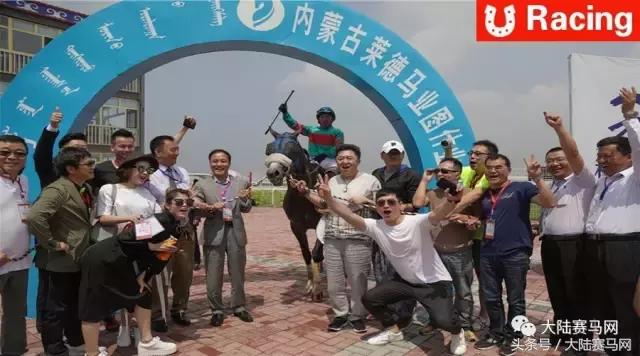 蓝月亮马会精选资料大全，解锁赛马的智慧与魅力蓝月亮马会精选资料大全期准优势