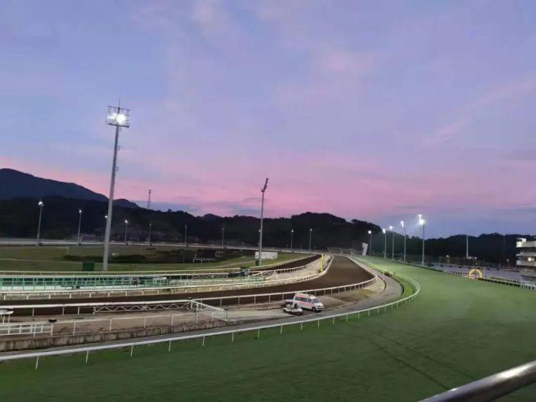 2019香港马会全年资料大全，回顾与展望香港2021年马会资料
