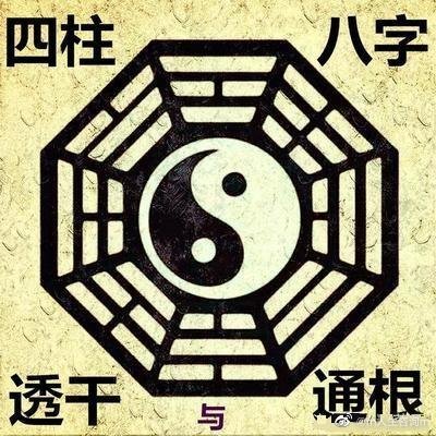 管家婆一码预测，四柱八字揭秘未来