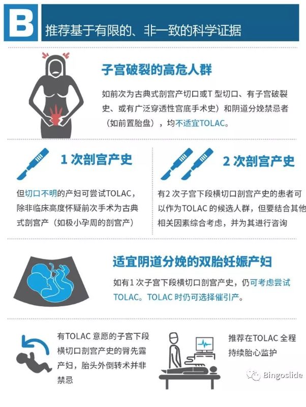 2019年正版马会资料大全，全面解析与使用指南2021马会资料精选免费大全