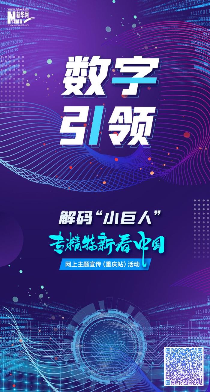 探索红五图库，数字时代的娱乐新风尚红五图库3D红五图库最新