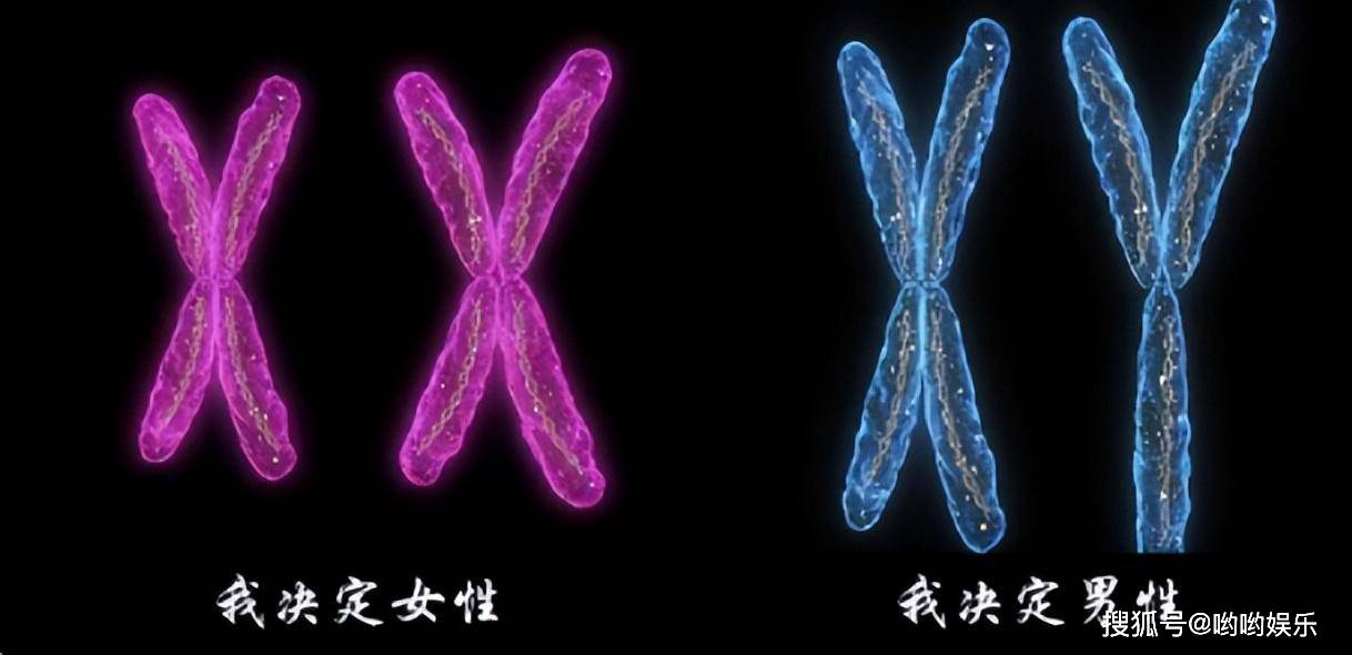 比分结果 第176页