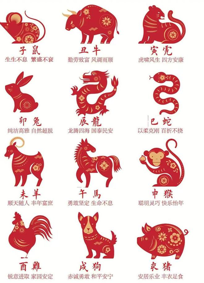 2049，探索未来生肖文化的视觉盛宴—揭秘新版生辰表图片的奥秘2024新版生肖表图片五行