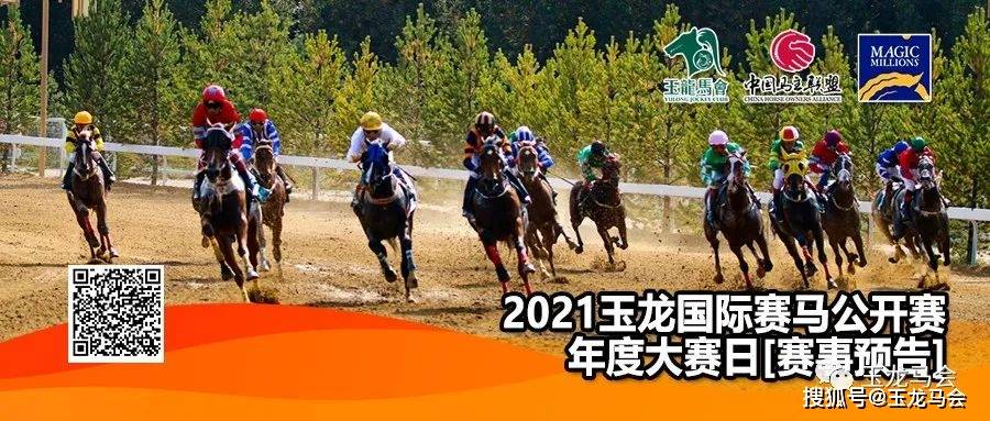 1326.com马会传真论坛，线上赛马的智慧与激情13262马会传真论坛的特色亮点与优势