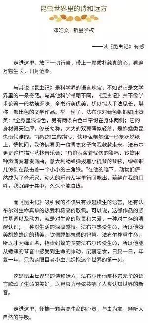 探寻白小姐497865的精准预言，一句诗中的智慧与启示白小姐449999精准一句诗夏天生肖
