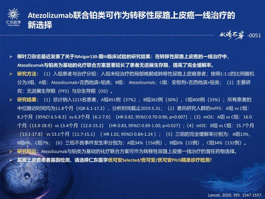2019年澳彩资料，48tkcom的年度回顾与展望49tkcom澳彩资料2021生肖卡