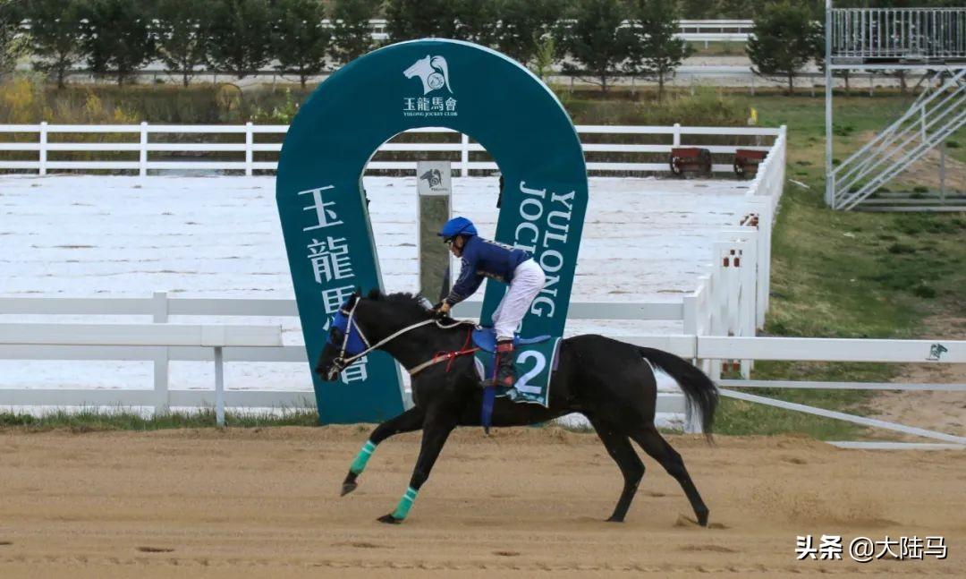 赛马智慧