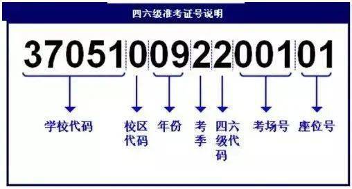 2034年新澳开奖结果，数字背后的幸运与期待2024新澳开奖结果查询今天开奖号码