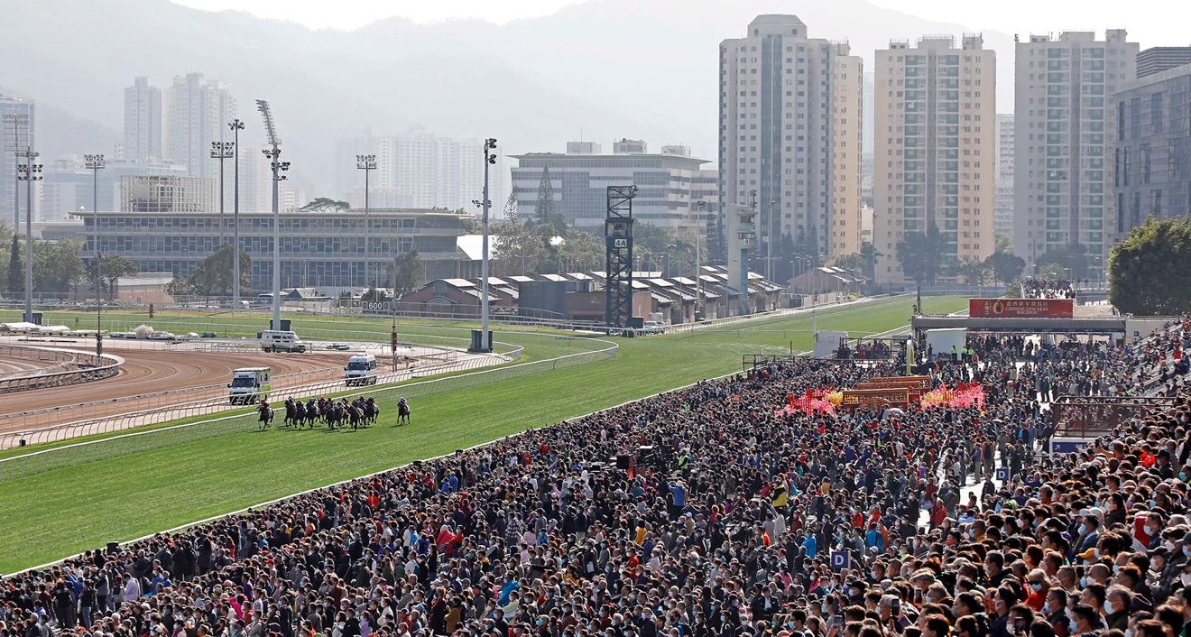 2019年香港马内部免费资料，揭秘赛马的背后与投注策略香港马资料大全2019