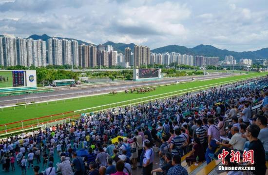 2019年香港马会内部免费资料，揭秘赛前策略与选马的智慧香港马资料大全2019