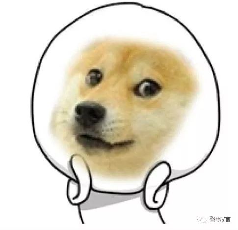 小狼狗高手论坛—网络社交新风尚的探索与反思小狼狗高手论坛最新