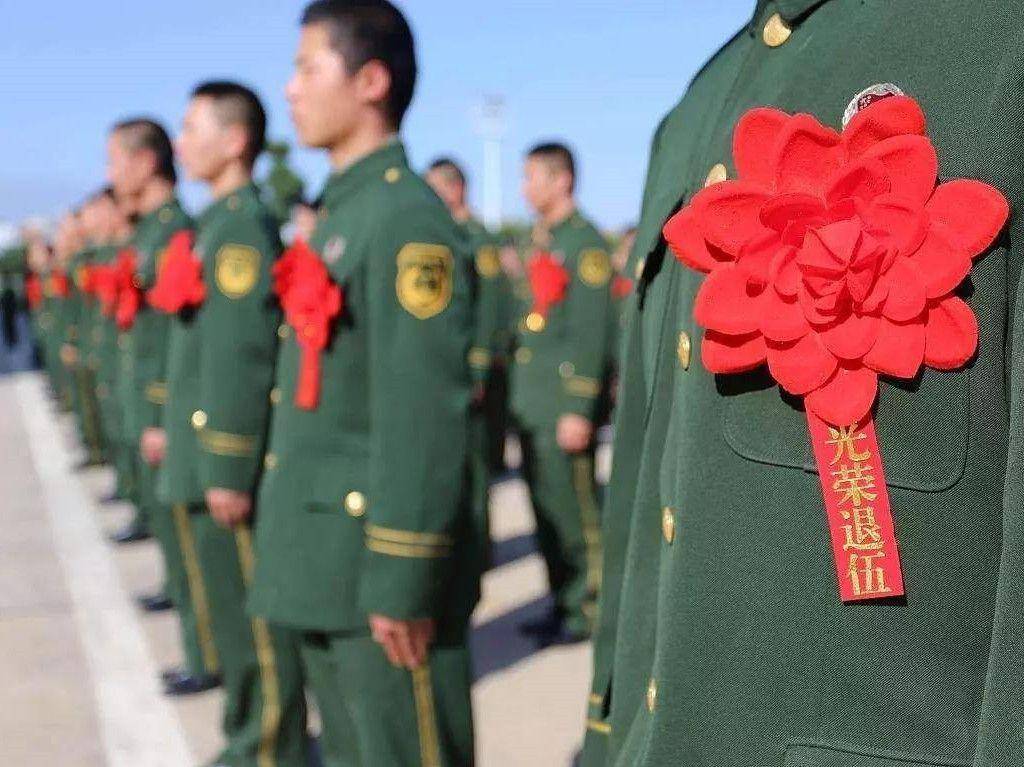 澳门2039最准免费资料大全，揭秘未来趋势与实用指南澳门2023最准免费资料大全葡京一技枝花