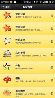 澳门2048年开奖结果查询，探索未来彩票的数字奥秘澳门开奖结果2024开奖结果查询直播