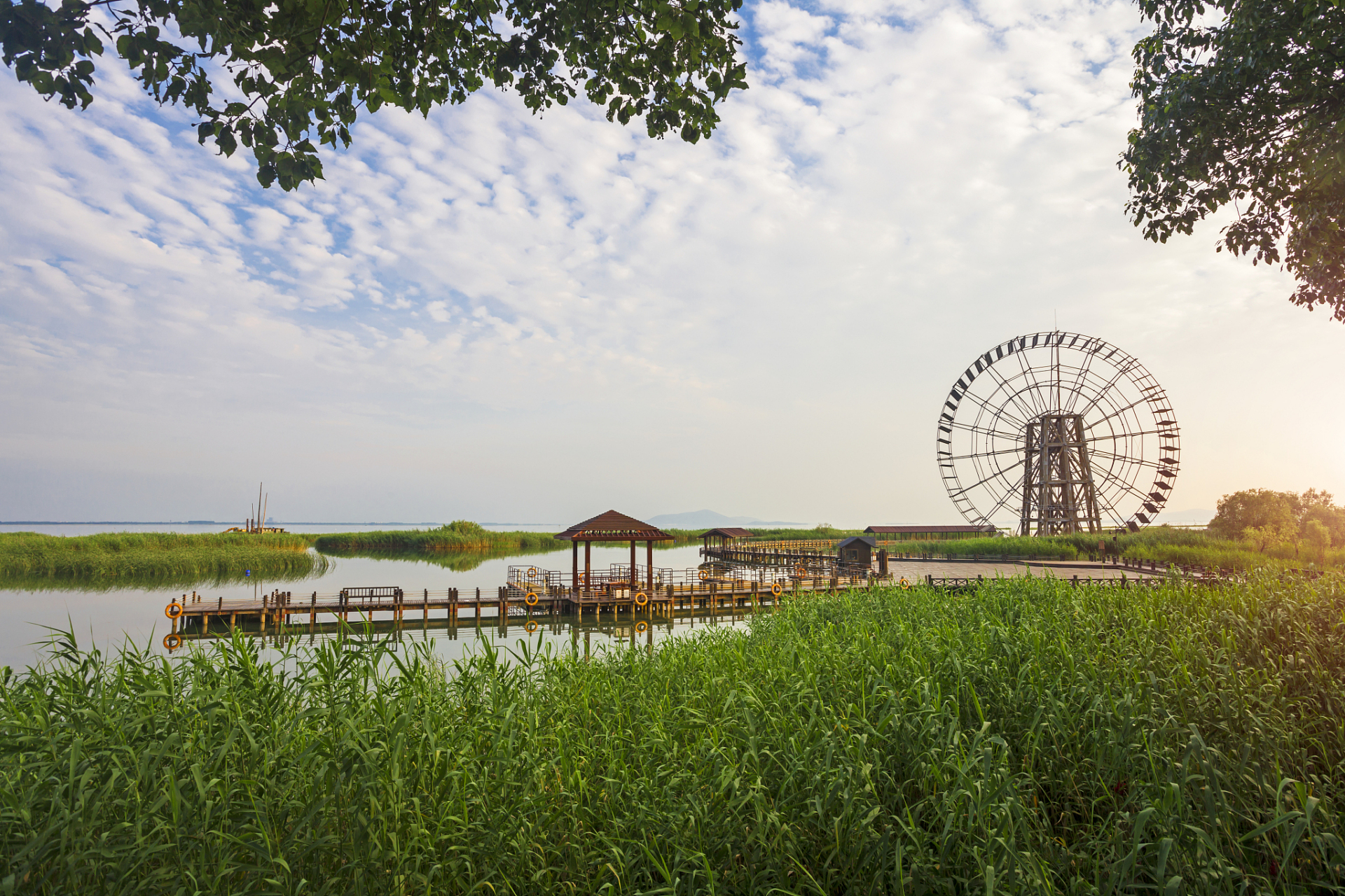 探索大洋岛的娱乐新天地，揭秘大洋洲岛屿论坛大洋湾生态旅游景区在哪里
