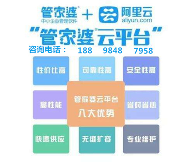 管家婆王中王的神秘面纱，揭秘十记录网背后的真相管家婆王中王历史开奖全记录