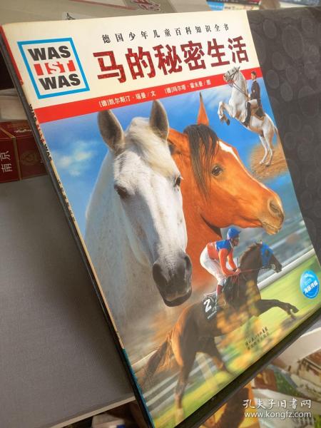 今日特马揭晓，探寻幸运的奥秘与结果今晚开啥特马